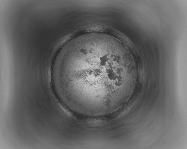 X0000110910729200906251357