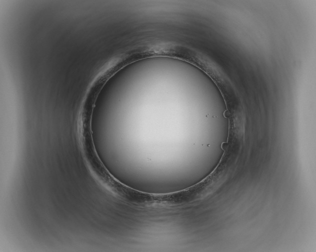 X0000110910730200906251357