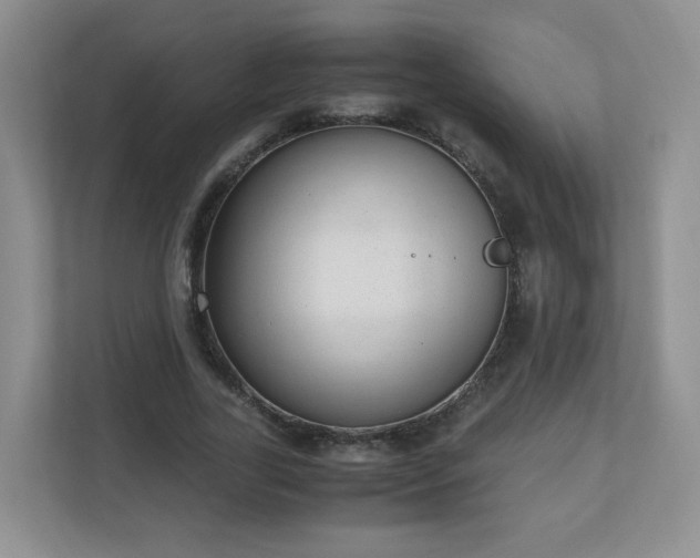 X0000110910731200906251357