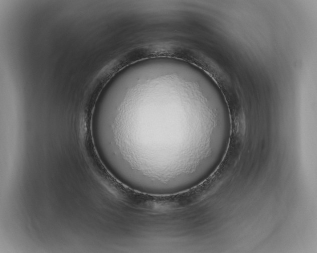 X0000110910733200906251357