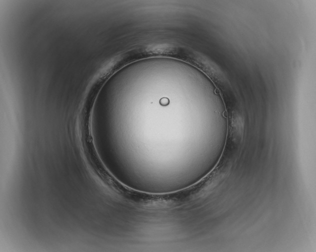 X0000110910734200906251357