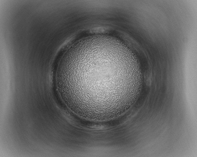 X0000110910735200906251357