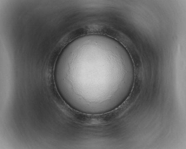 X0000110910737200906251357