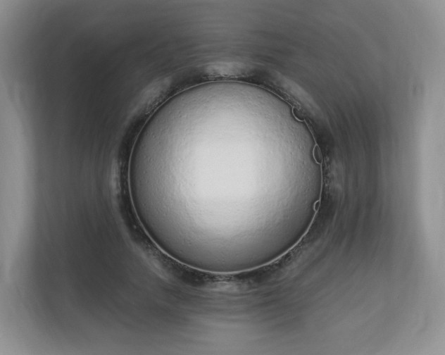 X0000110910738200906251357