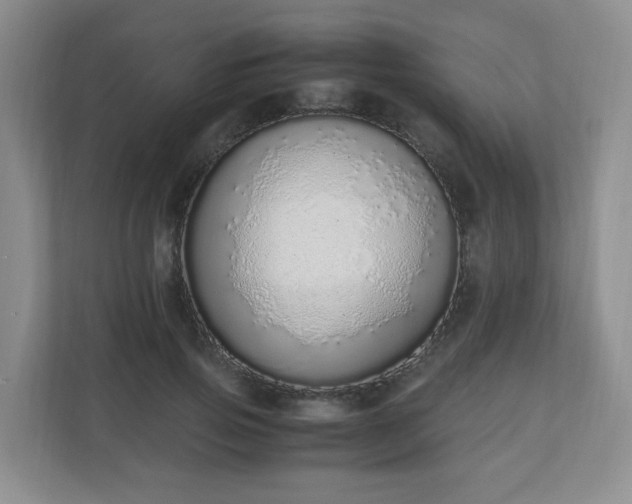 X0000110910741200906251357