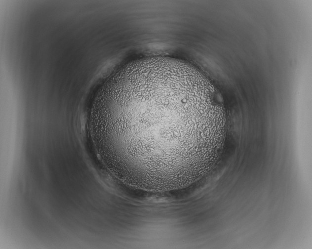 X0000110910742200906251357