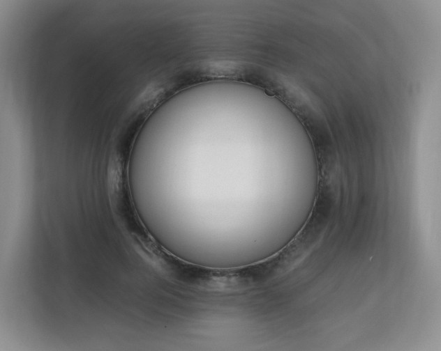 X0000110910744200906251357