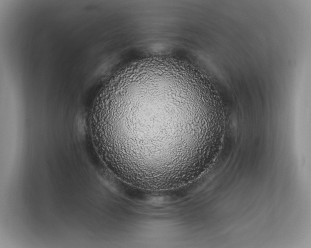 X0000110910746200906251357