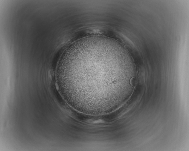 X0000110910747200906251357