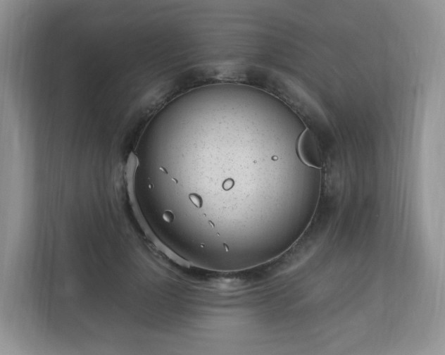 X0000110910748200906251357