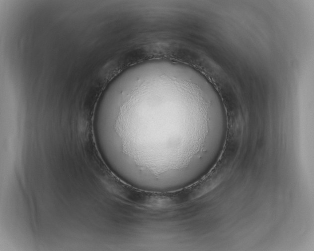 X0000110910749200906251357