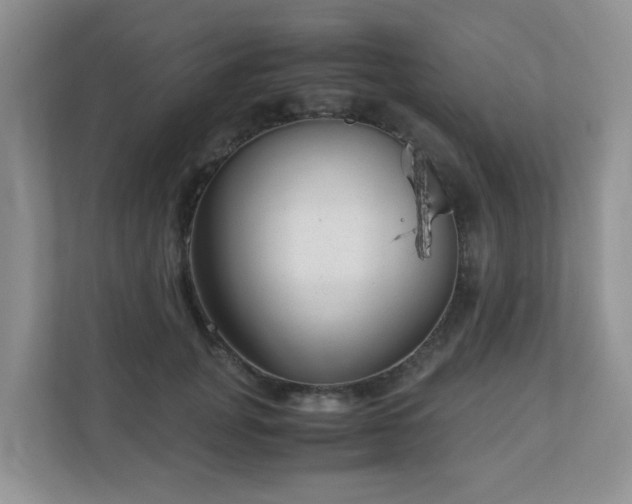 X0000110910751200906251357