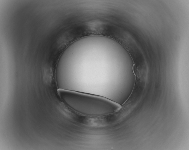 X0000110910752200906251357