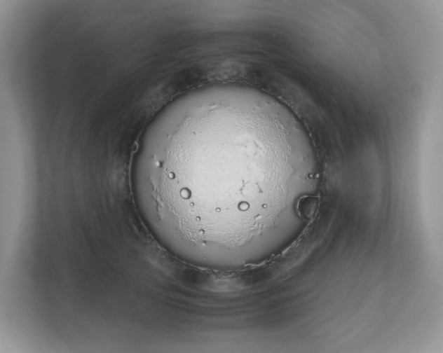 X0000110910753200906251357