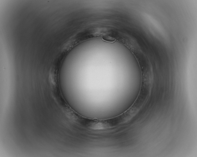 X0000110910755200906251357