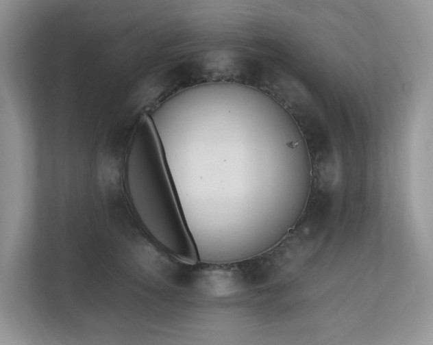 X0000110910756200906251357