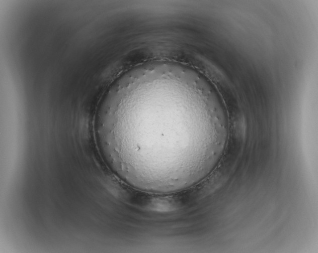 X0000110910757200906251357