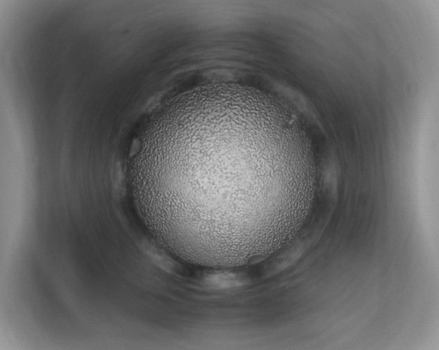 X0000110910759200906251357