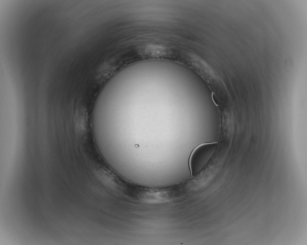 X0000110910760200906251357