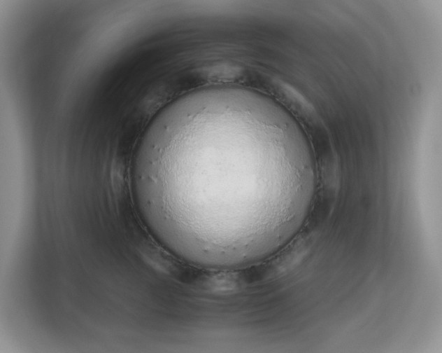 X0000110910761200906251357