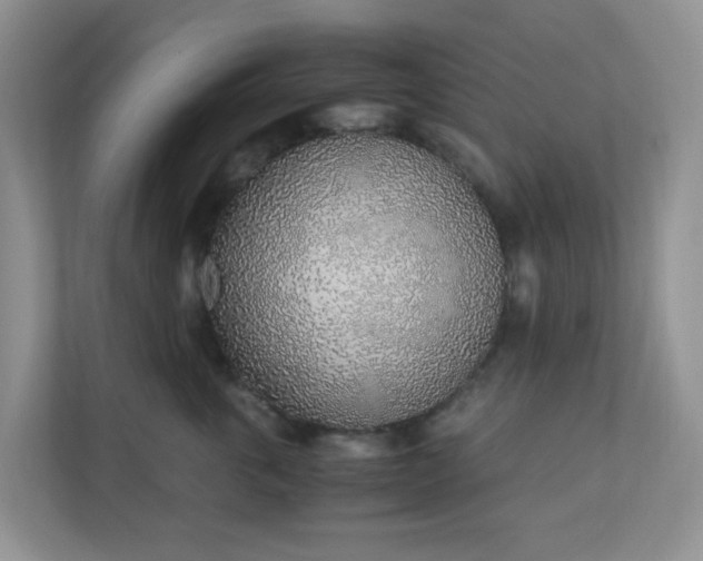 X0000110910763200906251357