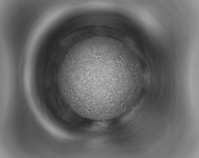 X0000110910765200906251357