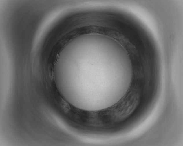 X0000110910766200906251357