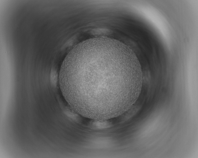 X0000110910767200906251357