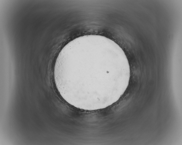 X0000110910769200906251357