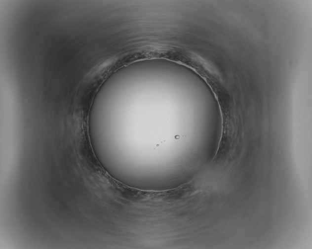 X0000110910773200906251357