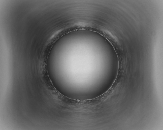 X0000110910776200906251357