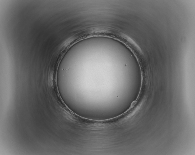 X0000110910777200906251357