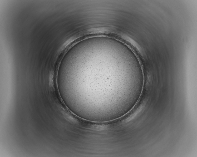 X0000110910778200906251357