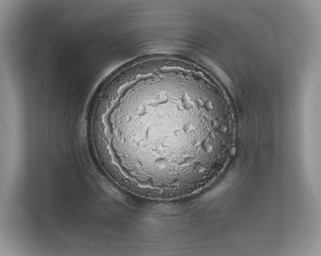 X0000110910779200906251357