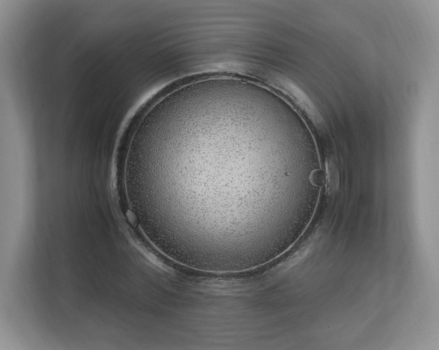 X0000110910780200906251357