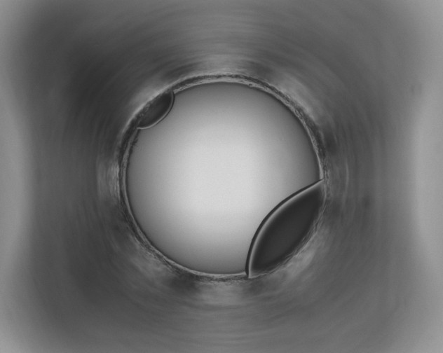 X0000110910781200906251357