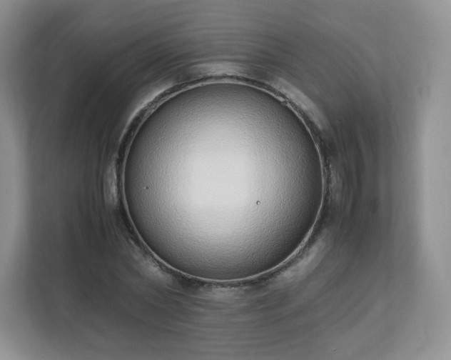 X0000110910782200906251357