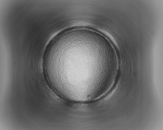 X0000110910783200906251357