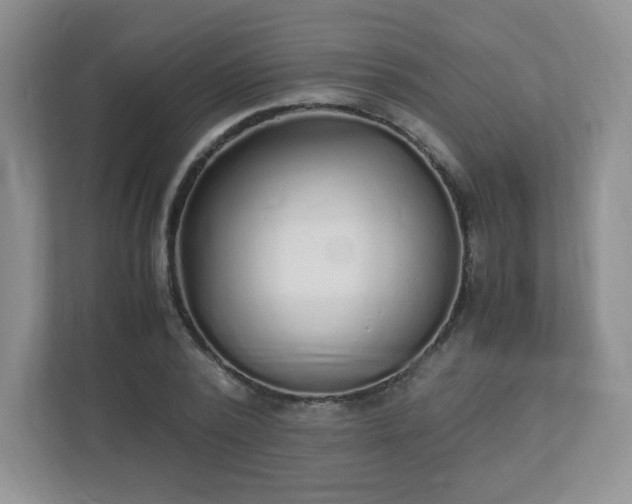 X0000110910784200906251357