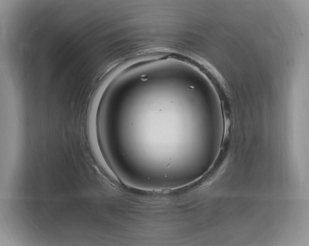 X0000110910785200906251357