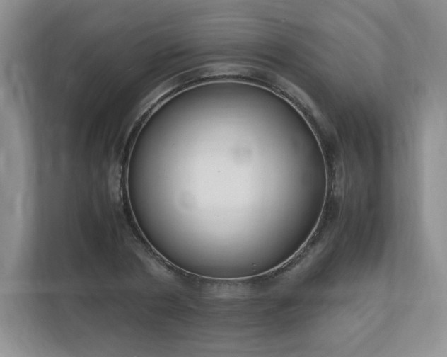 X0000110910786200906251356