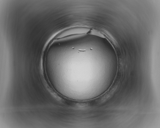 X0000110910788200906251356