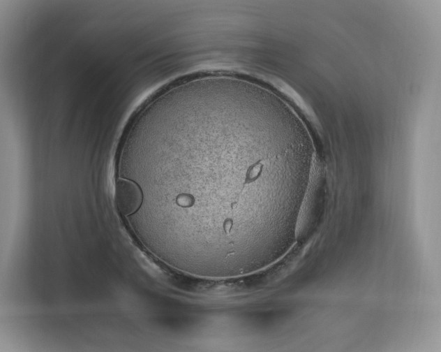 X0000110910791200906251356