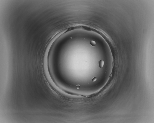 X0000110910793200906251356