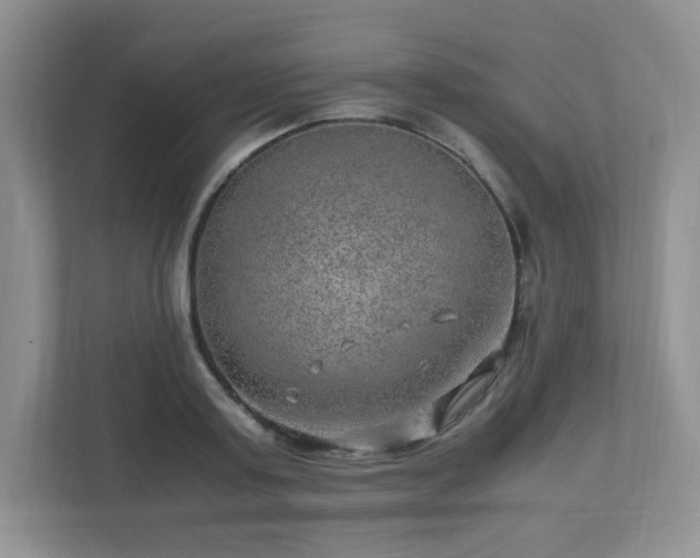 X0000110910795200906251356