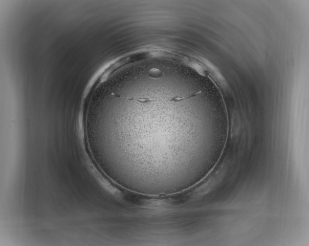 X0000110910796200906251356