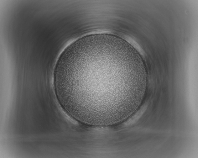 X0000110910797200906251356