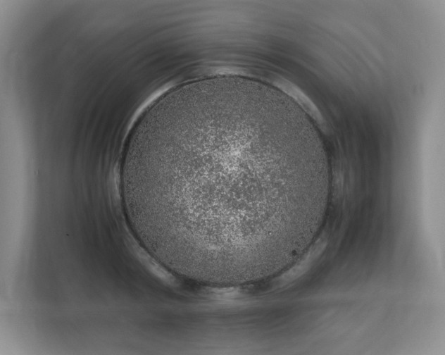 X0000110910798200906251356