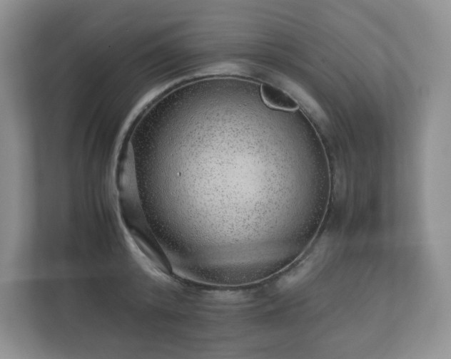 X0000110910800200906251356