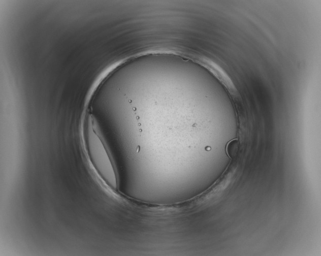 X0000110910804200906251356